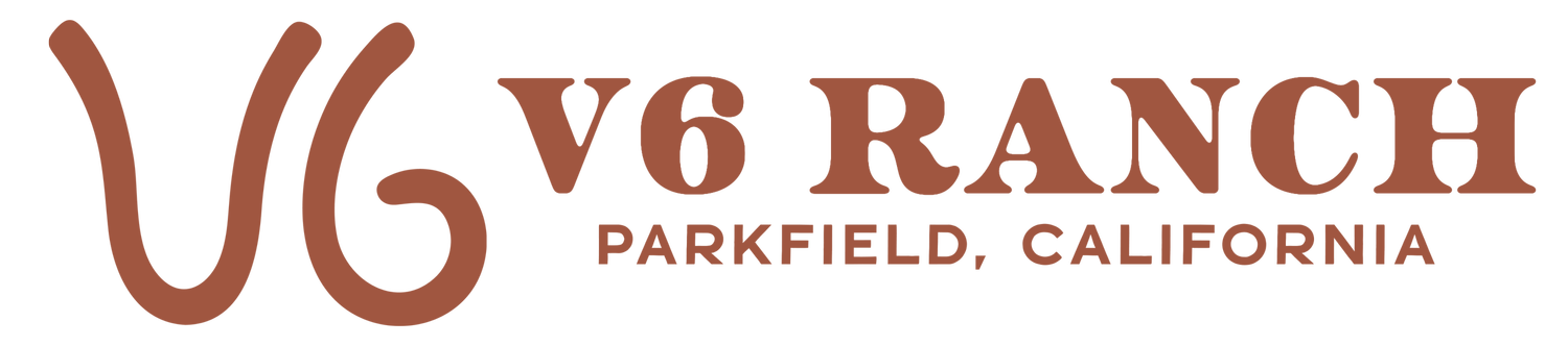 V6 Ranch - Authentic California Ranch Experiences